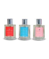 Perfume Silver Grey Hombre