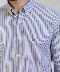 Camisa Brighton Striped