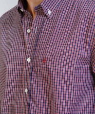 Camisa Brighton Checks