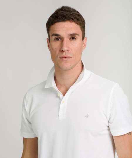 Polo Pima Pique 2