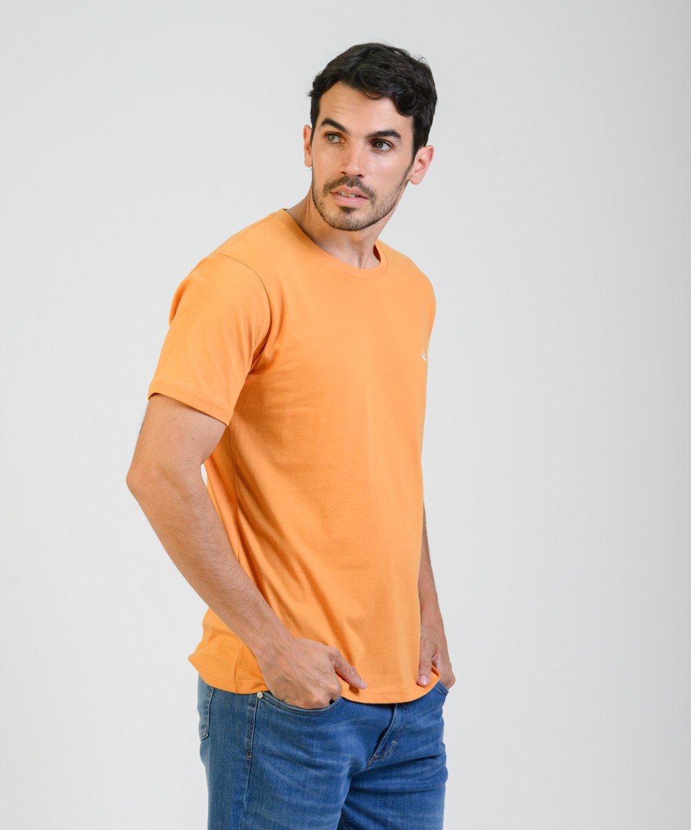 Remera Duck Embroidery