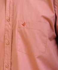 Camisa Brighton Regular