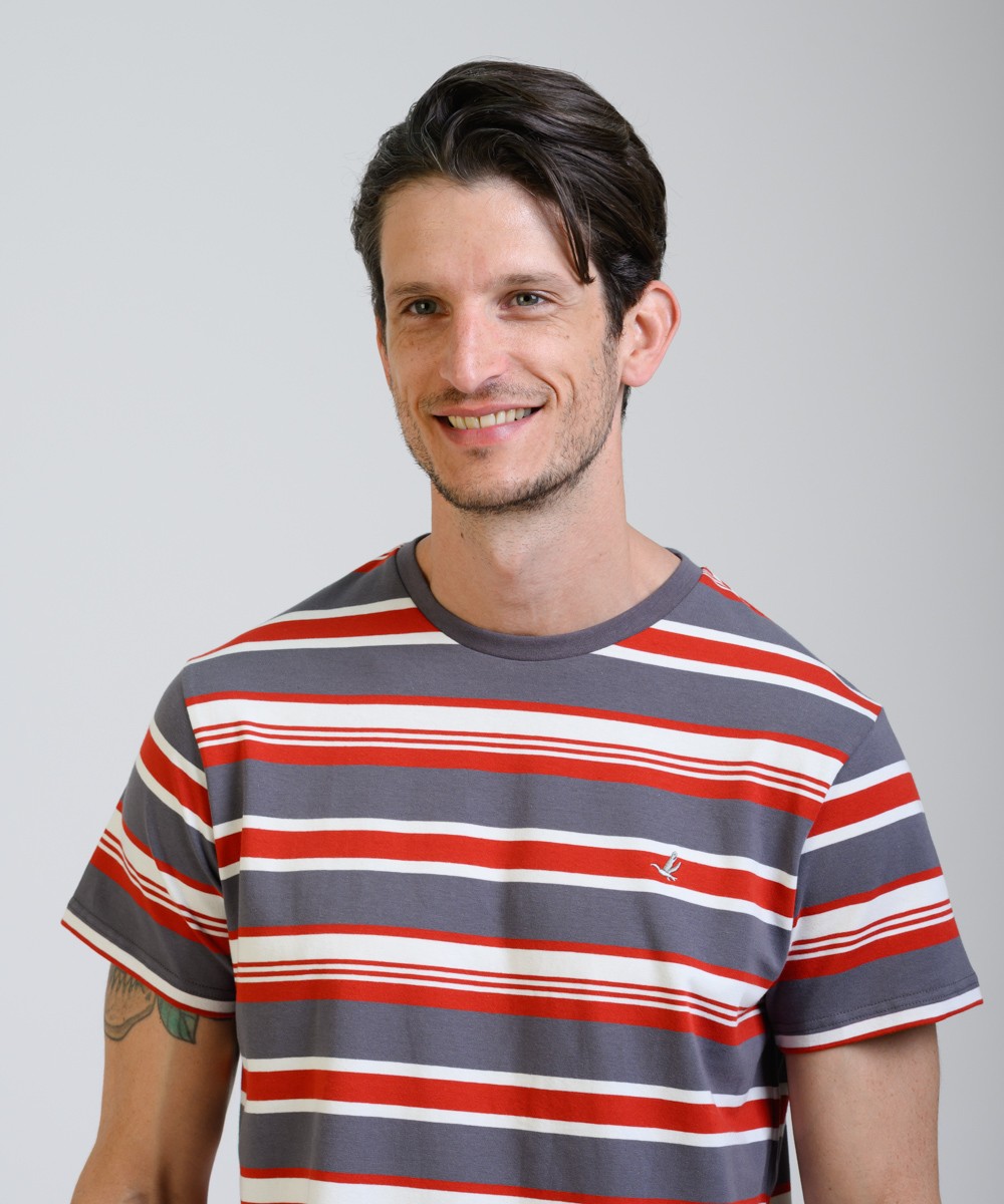 Remera Stripe Comfort