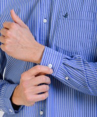 Camisa Stripes Premium