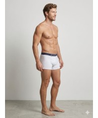 Pack Boxer