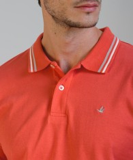 Polo Pique Dylan
